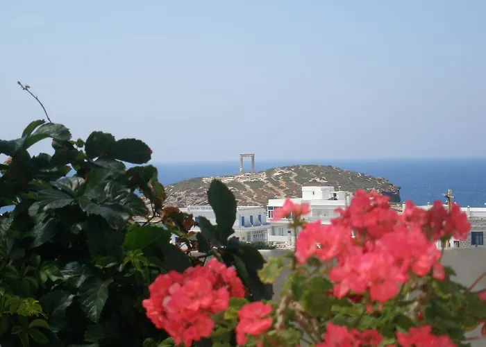 Chateau Zevgoli Отель Naxos City